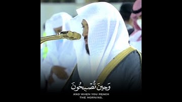 القارئ الشيخ د.#ماهر_المعيقلي_سورة_الروم اكتب شئ تؤجر عليه