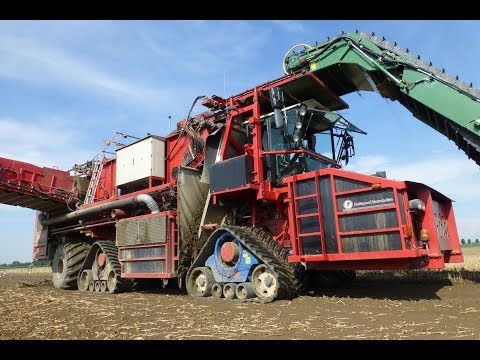 Ploeger AR-4W + EARTH EATER Tulip Bulb Harvester / Tulpenbollen Rooien - Maliepaard Bloembollen