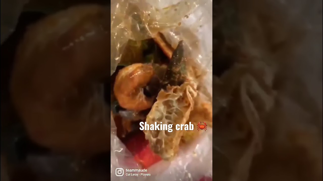 Best seafood in town.   