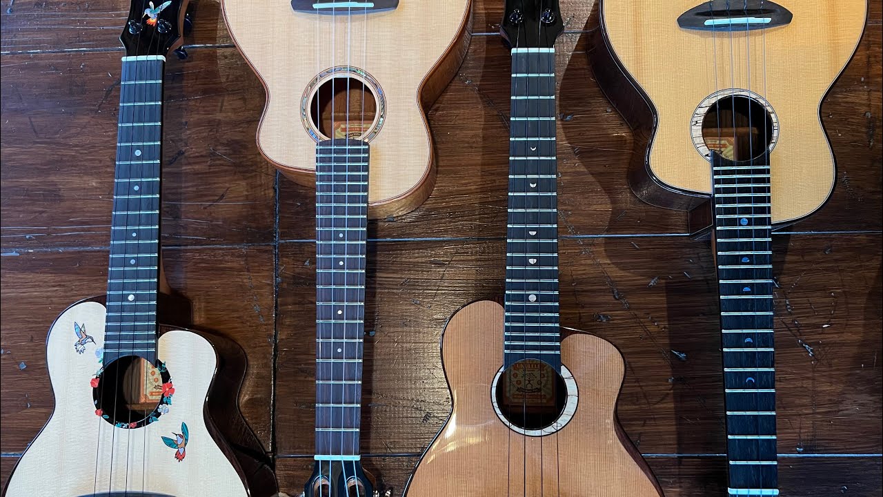 aNueNue Bird Series Concert Ukulele Comparison Review: UC100