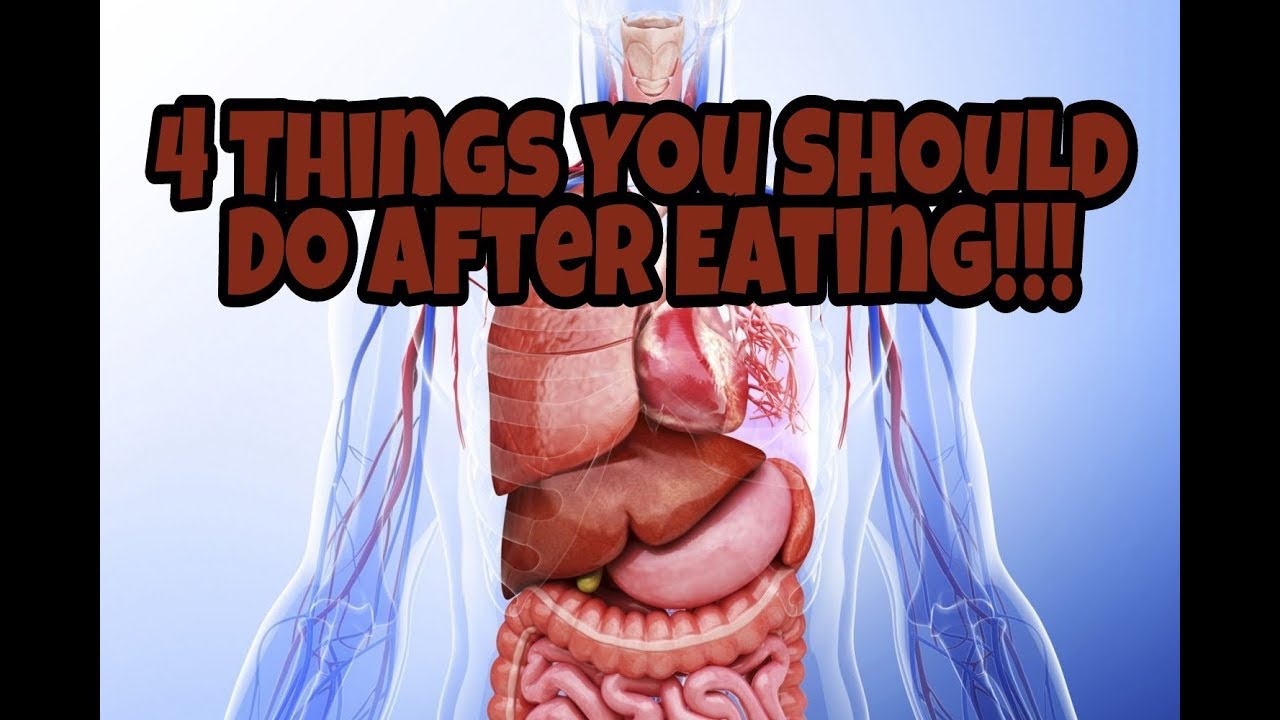 4 THINGS TO DO THAT WILL BENEFIT YOU AFTER EATING YouTube 4-things-to-do-that-will-benefit-you-after-eating-youtube