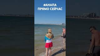 #Анапа. 04.05.2024 г. Лебеди в Черном море!