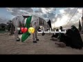 تعبنات تعبنات