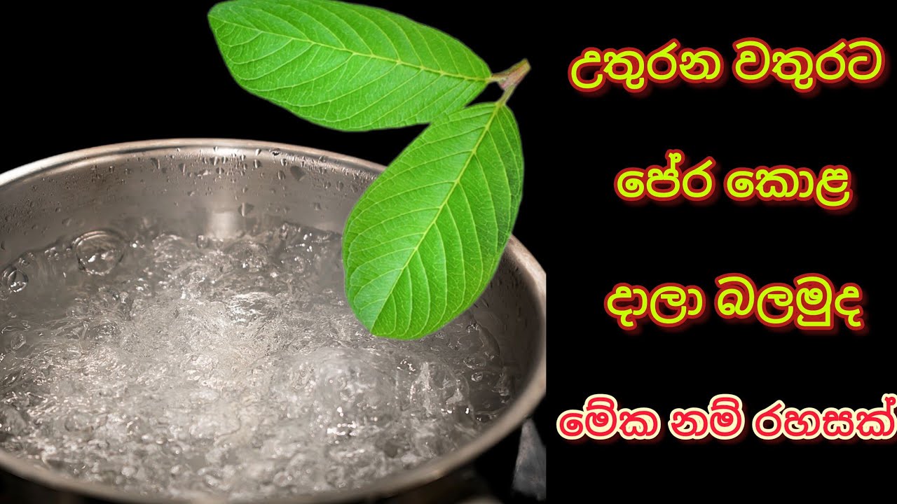 මිිට කලින් කවුරැත් ම කියලා දුන් නැති රහස් Tips සමග