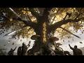 The Weapon Tree | Viking Music - Where Swords Are Grown