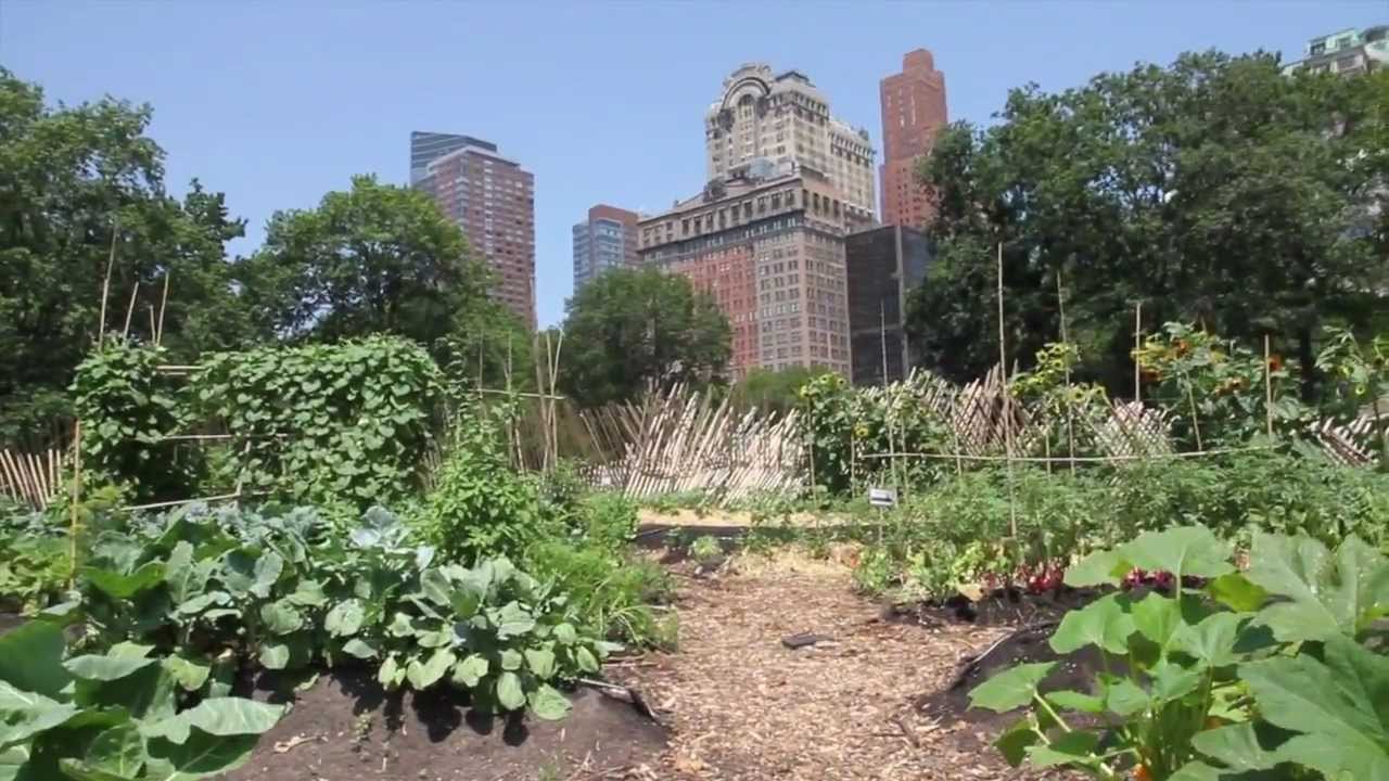The Urban Farm at the Battery, New York YouTube