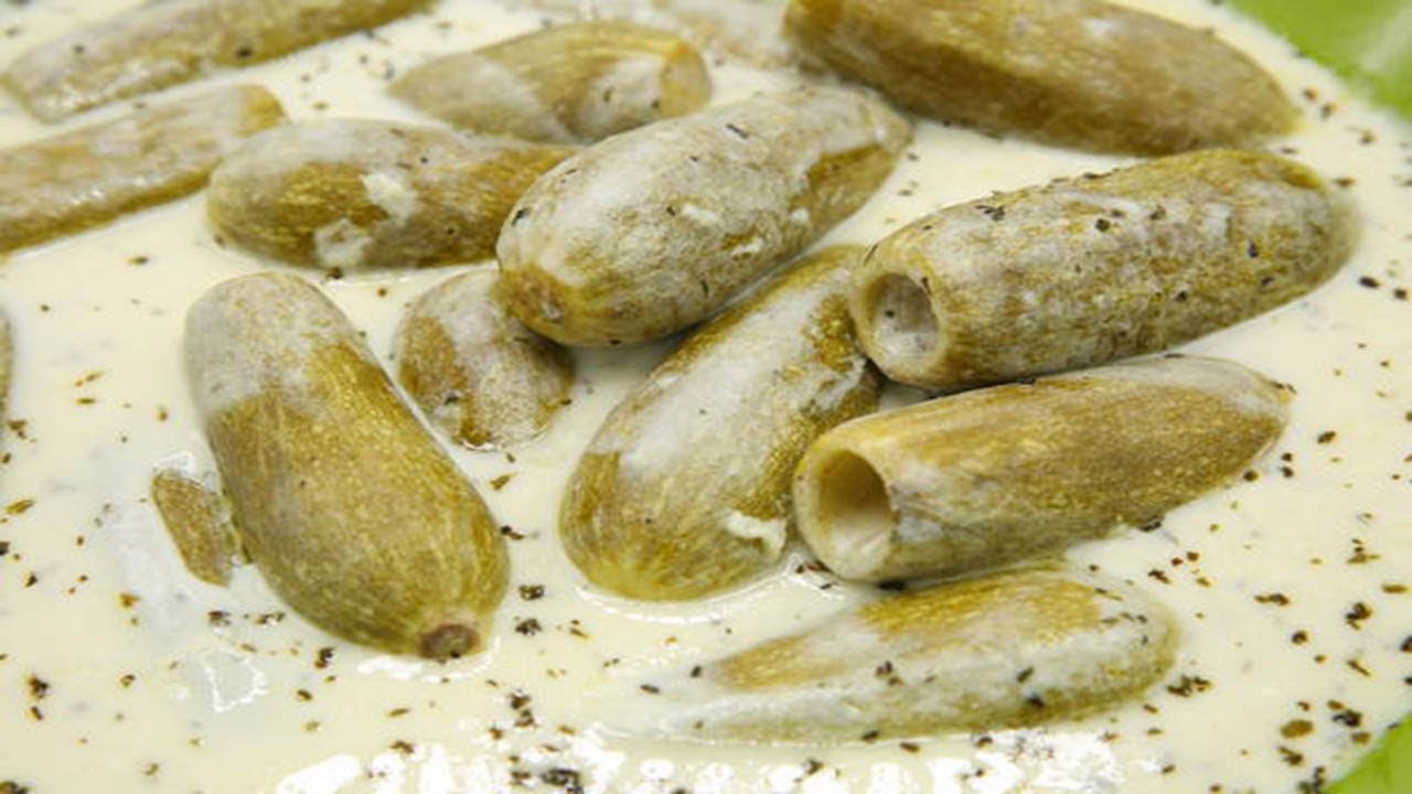 كوسة باللبن بطريقة صحية وبأسهل طريقة لحفر أو تقوير الكوسة فى أسرع وقت ممكن