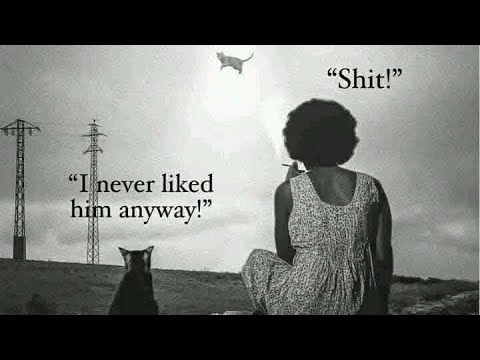 The Healing Oasis II واحة الشفاء Is Live