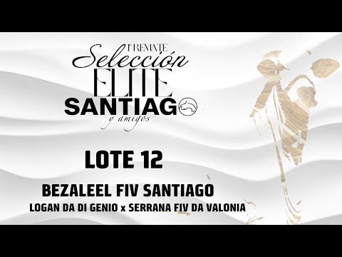 Lote 12   Bezaleel FIV Santiago