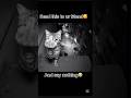 Send the is to ur friend and say nothing #funny #memes #cat