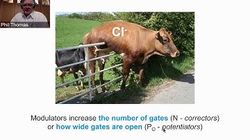 ResearchCon 2020 | Therapeutic Approaches for Rare and Nonsense Mutations