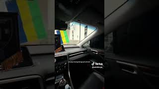 IMG 1379