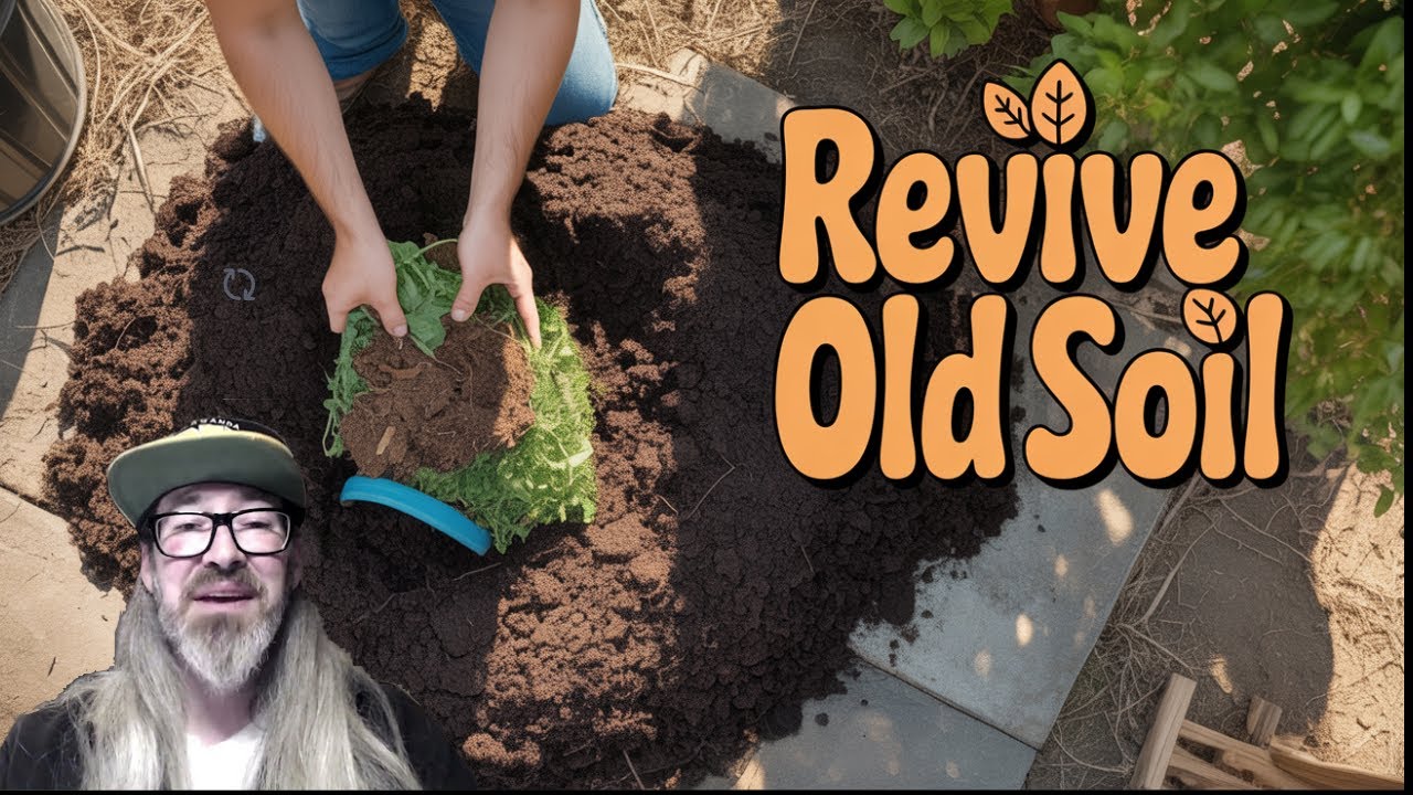 How to Reuse Soil Using Organic Amendments w/ Chad Westport