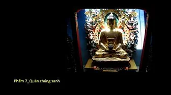 HT. Thích Thanh Từ_(8/14)_(P7_Quán chúng sanh) 