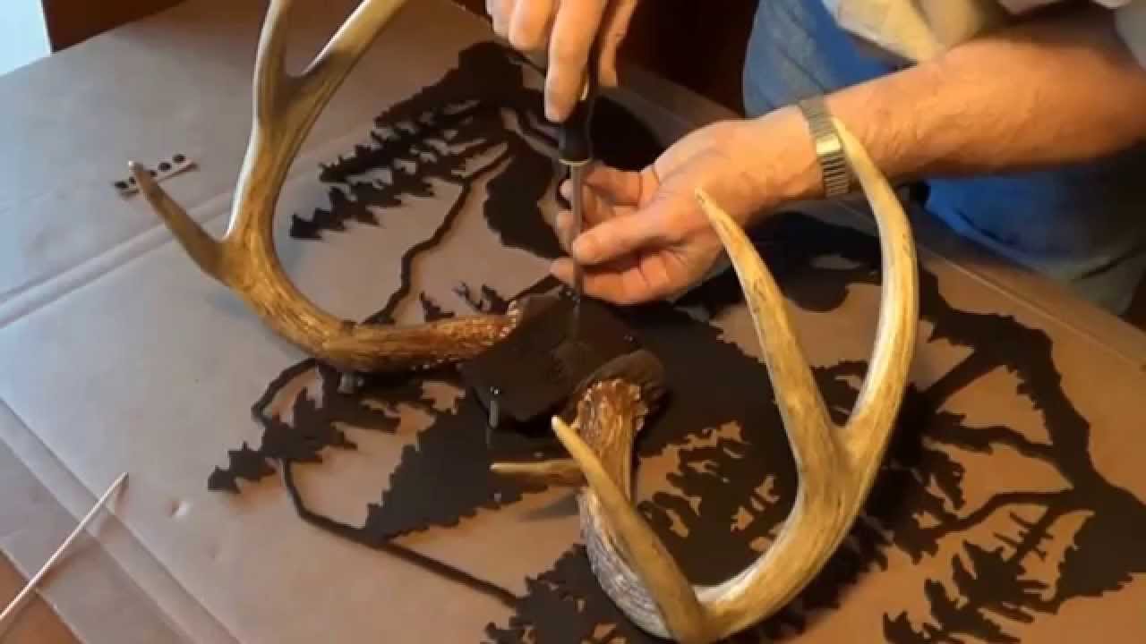 strutt your buck antler mount kit assembly instructions youtube