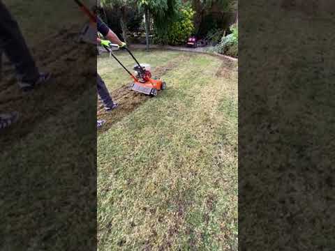 lawn scarification