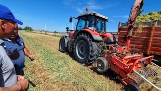 Buğday Silajı Yapan Besicinin Bir Günü - Dönümde Kaç Ton Verim