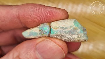 #51 Opal Belemnite Fossil | Opals NZ