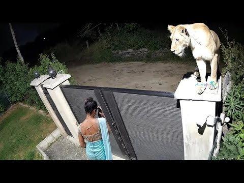 أكثر أشخاص عندهم الزهر صورتهم الكاميرات أشخاص حظهم كبير 