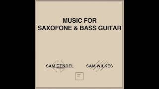 Sam Gendel and Sam Wilkes - Music for Saxofone and Bass Guitar [Full Album]