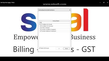 Saral Accounts, The Overview "English"