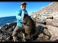 PESCA en ROCAS. Consejos, técnicas, señuelos.