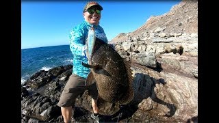 PESCA en ROCAS. Consejos, técnicas, señuelos.