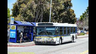 Santa Cruz Metro 1998 New Flyer D35LF #9811
