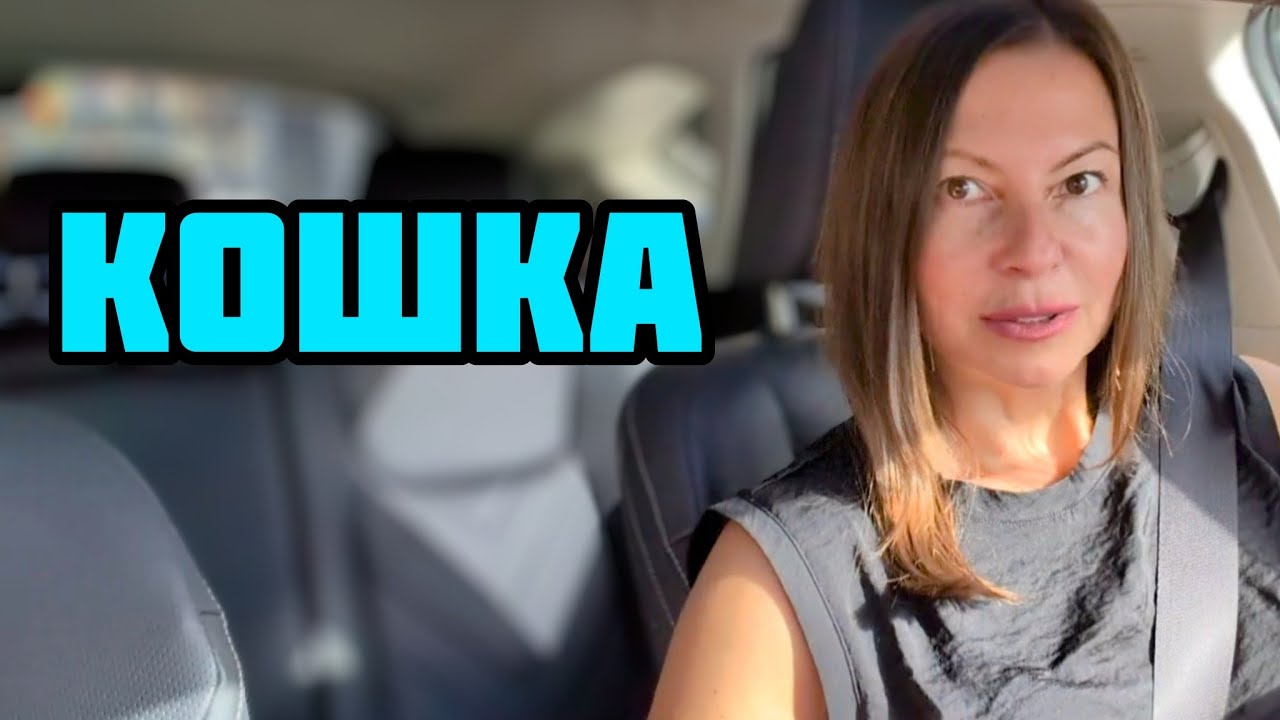 ПОМОГЛА ЧЕЛОВЕКУ А ОНА ПРИНЕСЛА КОШКУ В ДОМ - YouTube