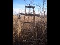 Marsh madness - one day in the cattails