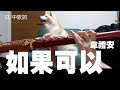 【#長笛】如果可以/韋禮安 "月老"【演奏してみた】#flute #フルート