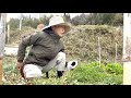 山歩き｜野鳥｜自然農｜踏み込み温床の準備