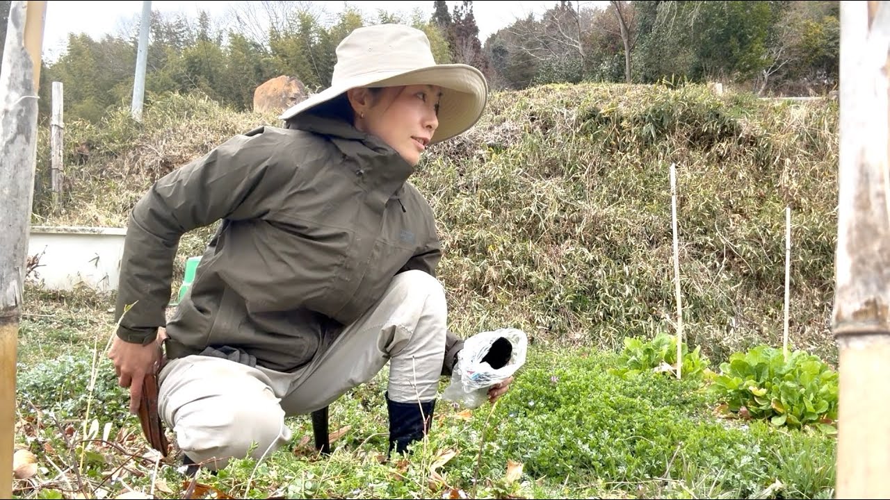 Походы в горы | Дикие птицы | Натуральное земледелие | Подготовка ступенчатой ​​теплицы