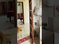 🤣🧿 #trending #dog #zadoo #funny #viralvideo