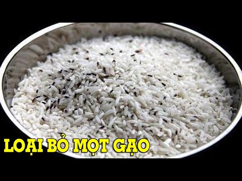 Cách loại bỏ và ngăn ngừa mọt đen trong gạo – Mẹo Vặt Cuộc Sống