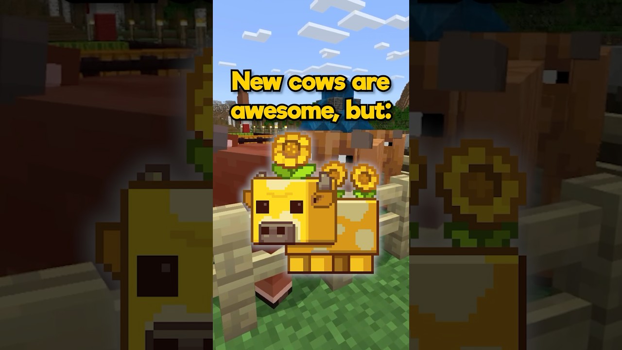 What Is The BEST NEW Update Feature?