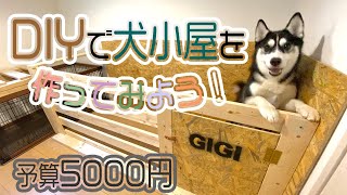 【予算5000円！】DIYで犬小屋を作ろう！シベリアンハスキーの新しい部屋 大型犬のハウスを作ってみた