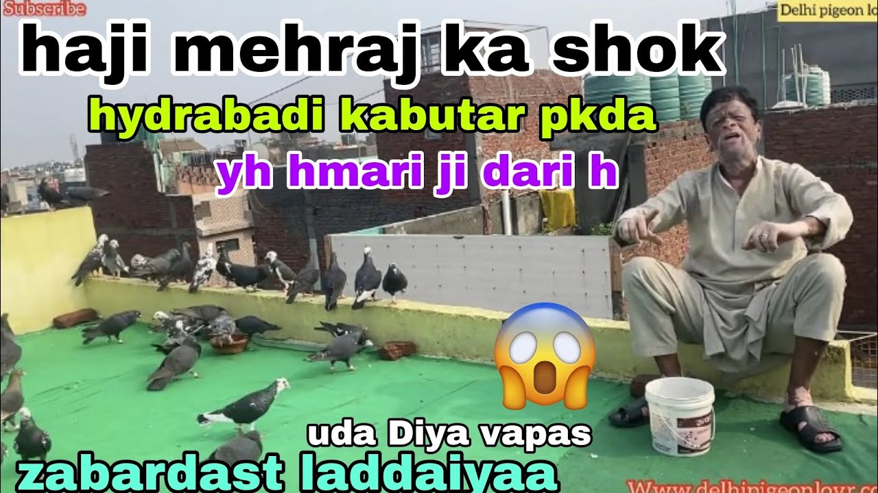 Haji mehraj ka shok  hydrabadi  pakda  sedi ka  aur Azad bhi kr diya  ji dari delhi pigeon lover