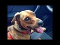 BRING HONEY HOME - Saddle Brook NJ BRING HONEY HOME - Saddle Brook NJ