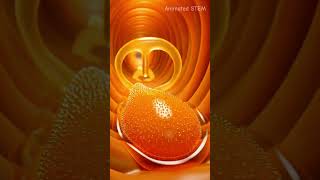 How Food Travels Down Your Esophagus (Amazing 3D Animation)
