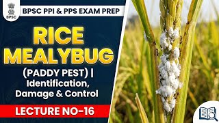 BPSC PPI & PPS Exam Prep | Rice Mealybug (Paddy Pest) | Identification & Control | Lecture No-16 screenshot 4