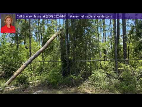 226 Maple Avenue, Wewahitchka, FL home video tour