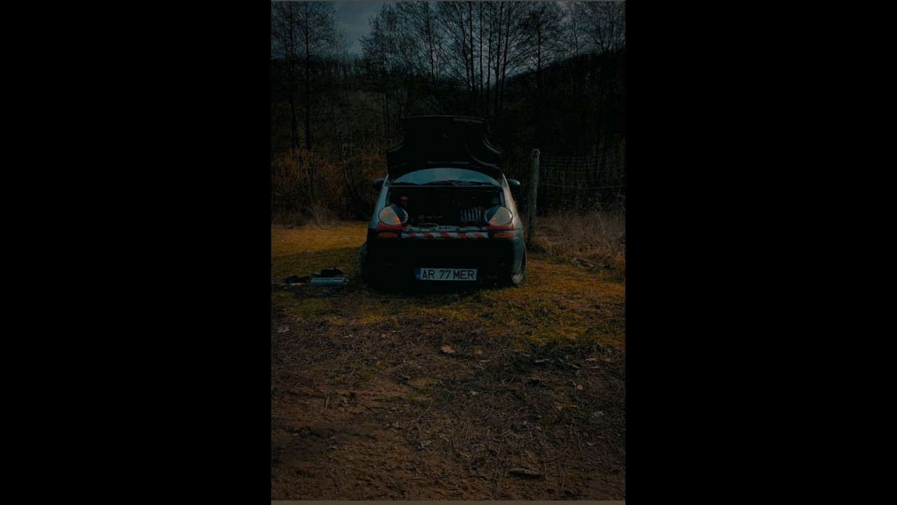 Am prezentat matizul !!!!!