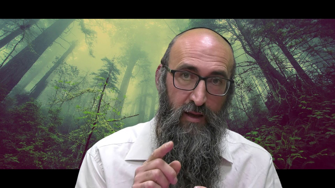 ON VA CHANGER LE MONDE 5 - Le secret des 6 tsadikim dans le H'oumach - Rav Itshak Peretz
