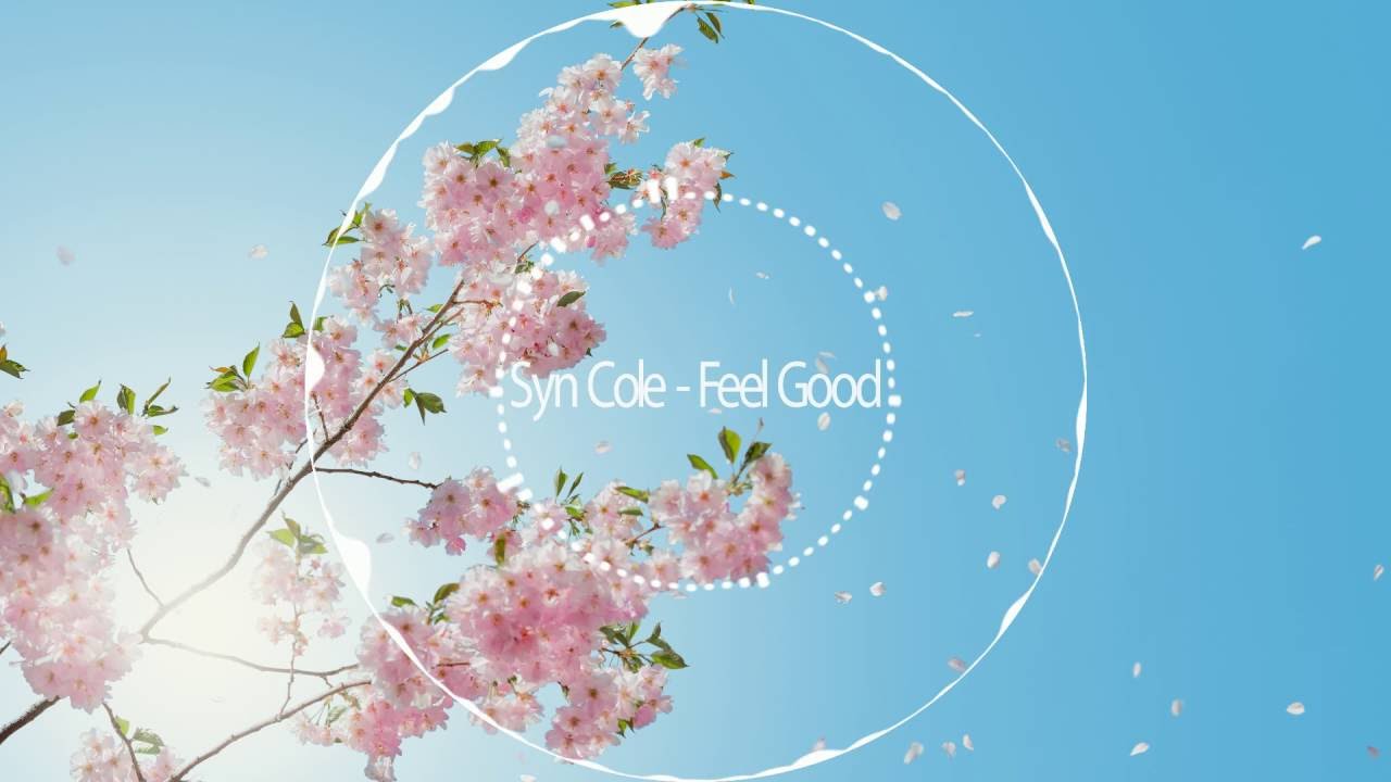 Syn Cole - Feel Good [NCS Release]