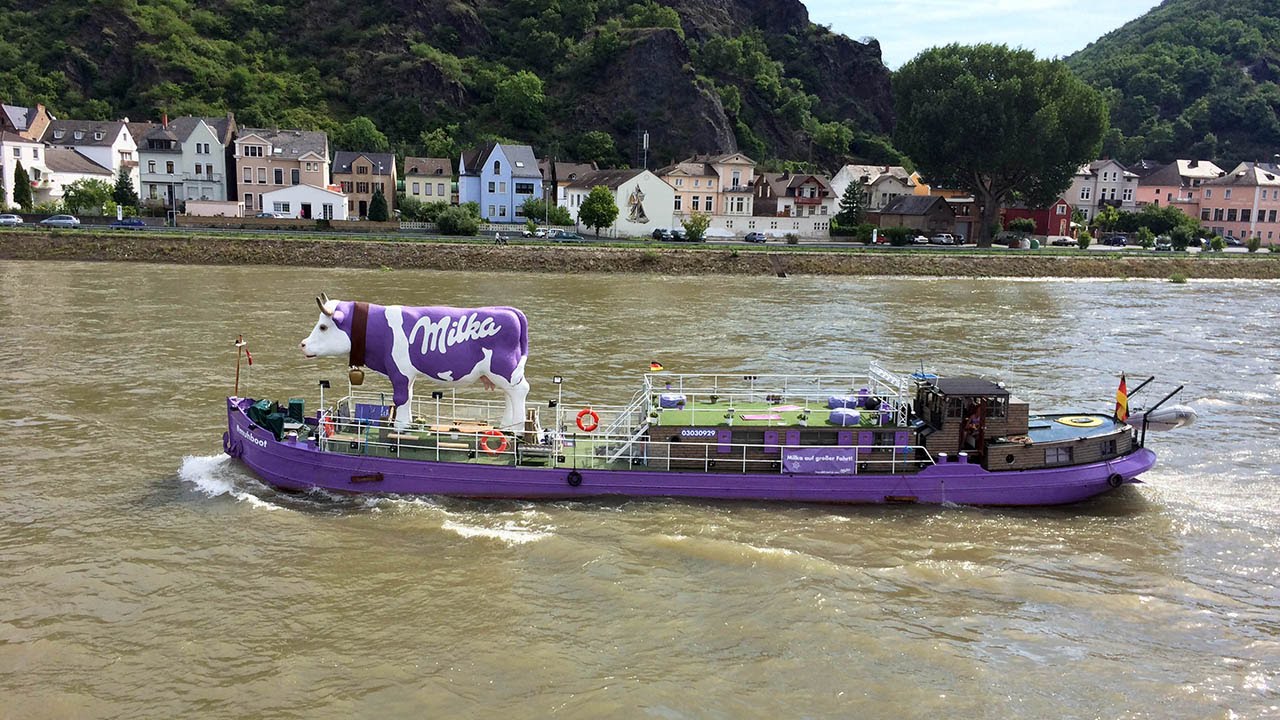 11 Rhine River Views