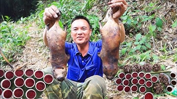 Pịa tiết canh dúi trong rừng sâu | Nhịp Sống Tây Bắc