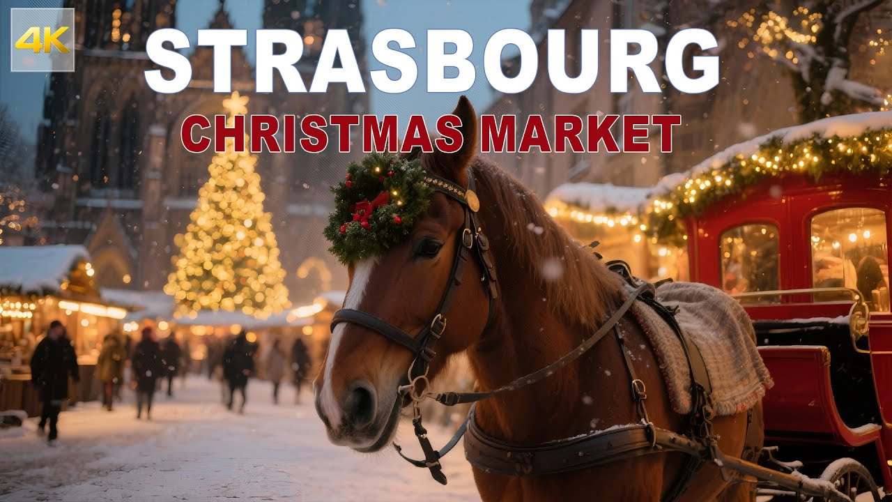 I Discovered the Most Beautiful Christmas City in The World - Strasbourg, France