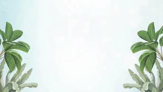 4k Wedding Floral Invitation Background   Stocklate background