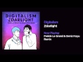 Digitalism Zdarlight Fedde Le Grand Deniz Koyu Remix
